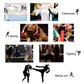 2 Pack Boxing Mitts MMA Punching Focus Mitts Training Boxing Target Pads