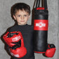 Kids Boxing Set (2-5 Year Old), Assortment with Punching Bag, Boxing Gloves, and Headgear for Boxing, MMA, Muay Thai, and Kickboxing, Youth Sports Toy Set for Boys and Girls, Blue